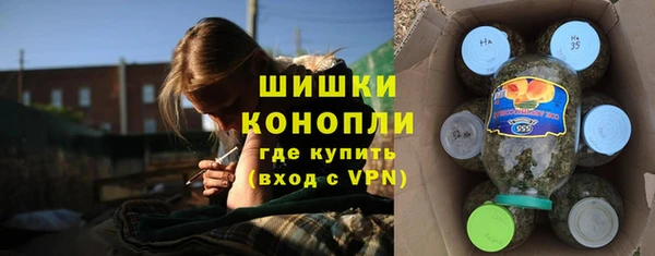 ГАЛЛЮЦИНОГЕННЫЕ ГРИБЫ Ладушкин