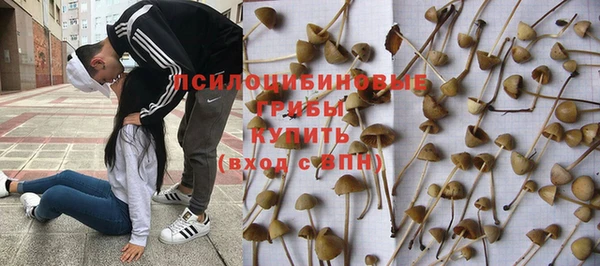 ГАЛЛЮЦИНОГЕННЫЕ ГРИБЫ Ладушкин