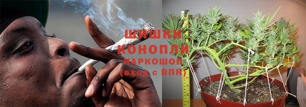 spice Лагань