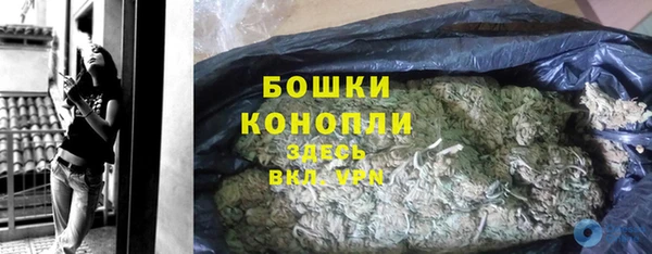 ГАЛЛЮЦИНОГЕННЫЕ ГРИБЫ Ладушкин