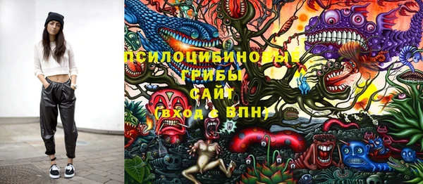ГАЛЛЮЦИНОГЕННЫЕ ГРИБЫ Ладушкин