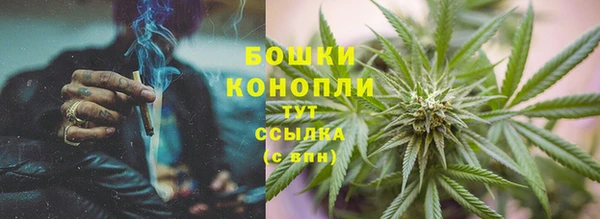 spice Лагань