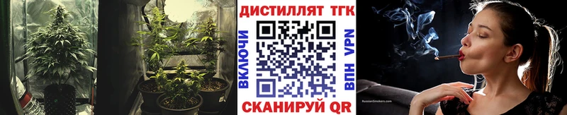 Дистиллят ТГК концентрат  Купить где  Ачхой-Мартан 